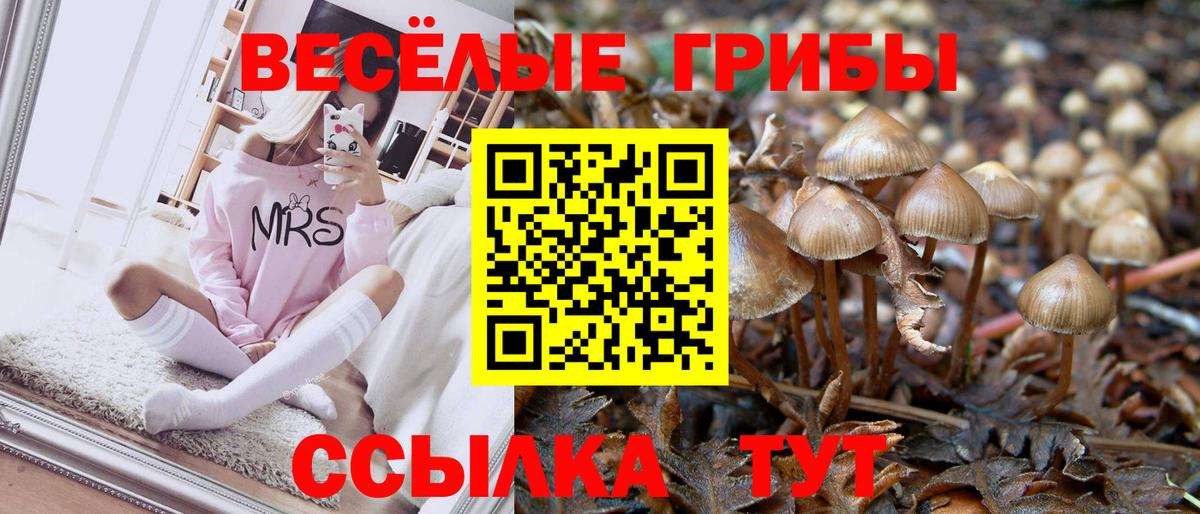 Псилоцибиновые грибы мицелий  наркошоп  Верхняя Пышма  Вход с VPN 